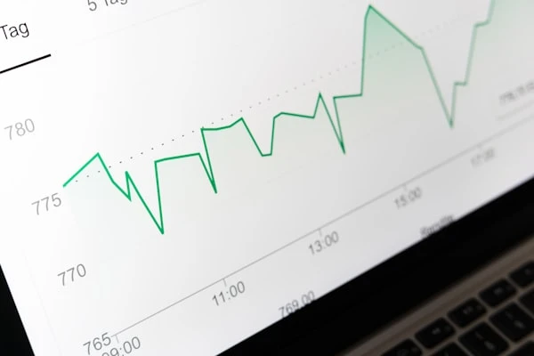 Expert in Web Pentest (CEWP)